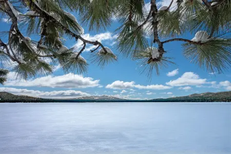 福音广播：真爱住我家（2026年4月节目）