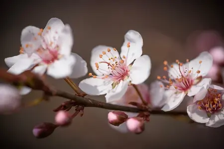 如何在职场中见证福音？