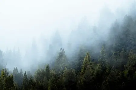 别让婚姻变成“有名无实”的空壳
