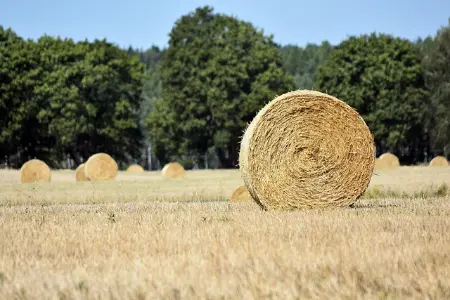 父母对孩子的理解比讲道理更重要