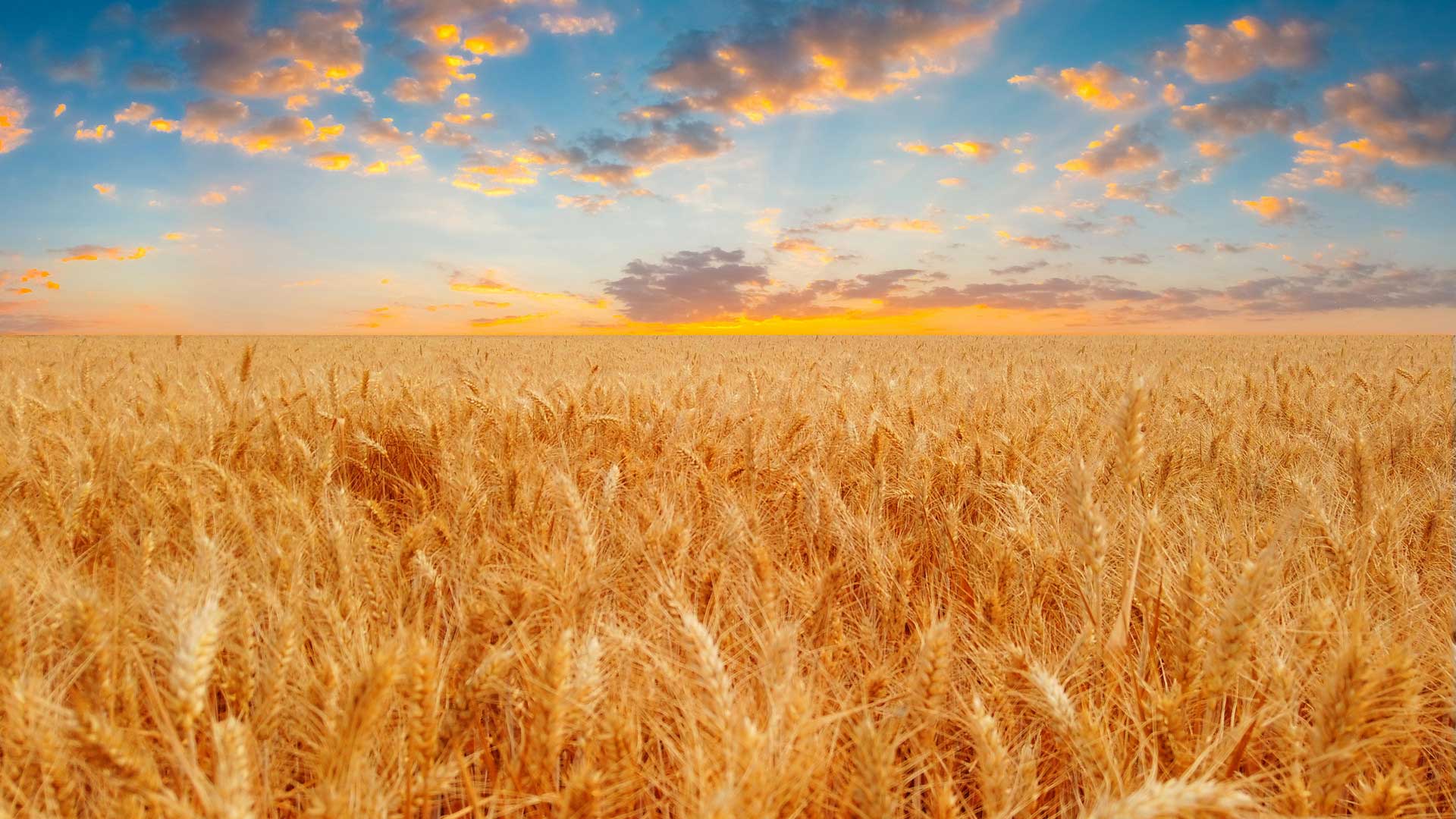 五点建议帮助你让工作变得快乐！