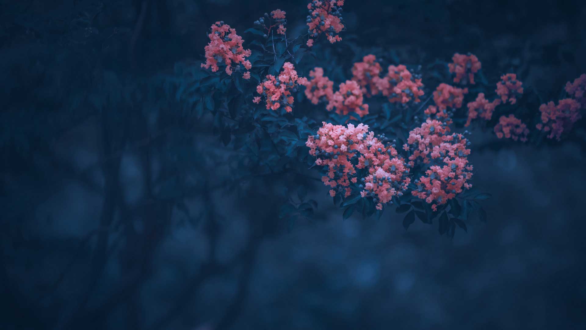 抬头不见低头见，相爱容易相处难